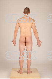 Body texture of Dexter 0005